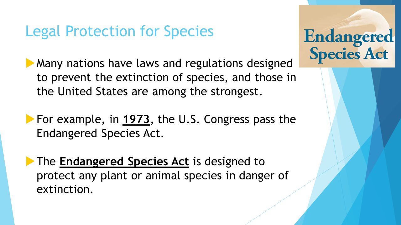 Summary of the Endangered Species Act